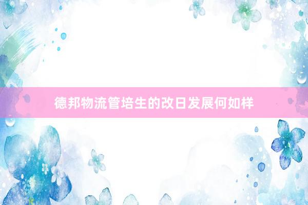 德邦物流管培生的改日发展何如样