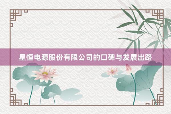 星恒电源股份有限公司的口碑与发展出路