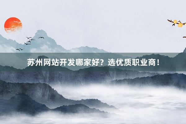 苏州网站开发哪家好？选优质职业商！